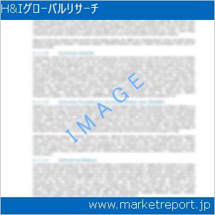 市場と産業調査レポートのイメージ